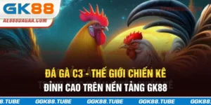Đá Gà C3 - Thế Giới Chiến Kê Đỉnh Cao Trên Nền Tảng GK88
