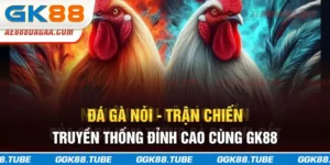 Đá Gà Nòi - Trận Chiến Truyền Thống Đỉnh Cao Cùng GK88