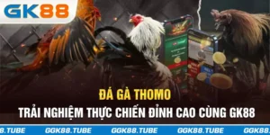 Đá Gà Thomo - Trải Nghiệm Thực Chiến Đỉnh Cao Cùng GK88