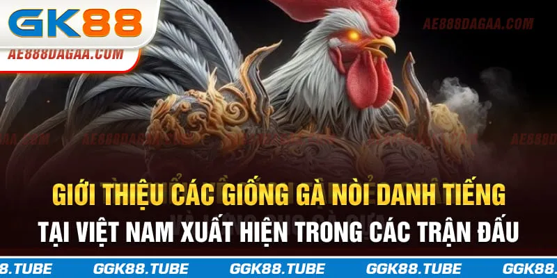 Giới thiệu các giống gà nòi danh tiếng tại Việt Nam xuất hiện trong các trận đấu
