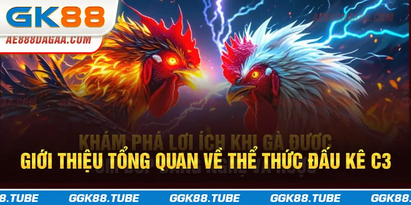 Giới thiệu tổng quan về thể thức đấu kê C3