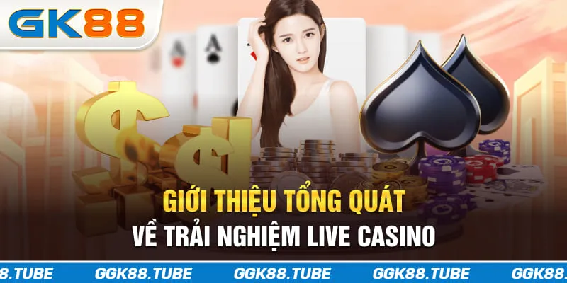 Giới thiệu tổng quát về trải nghiệm live casino
