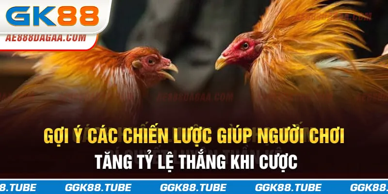 Gợi ý các chiến lược giúp người chơi tăng tỷ lệ thắng khi cược