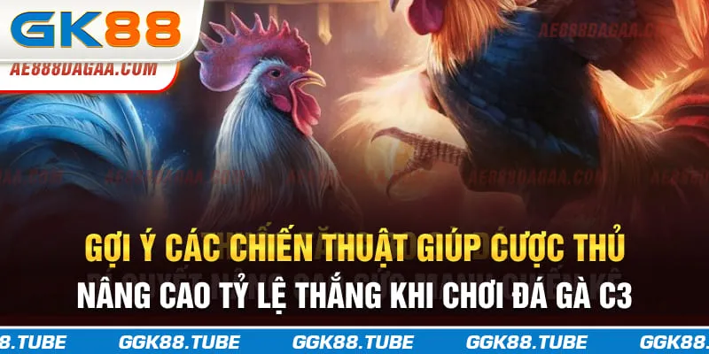 Gợi ý các chiến thuật giúp cược thủ nâng cao tỷ lệ thắng khi chơi đá gà C3