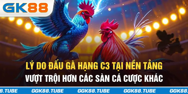 Lý do đấu gà hạng C3 tại nền tảng vượt trội hơn các sàn cá cược khác