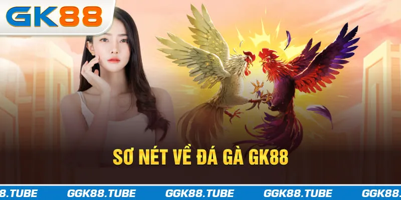Sơ nét về đá gà GK88