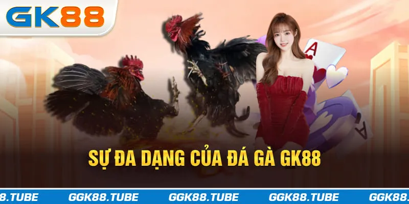 Sự đa dạng của đá gà GK88